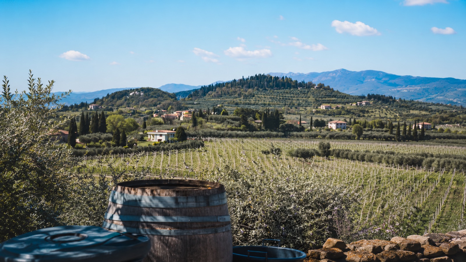 Colline e vigneti della Valdichiana